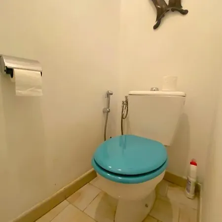 Spacieux Et Confortable T3 Au Centre D アパート *